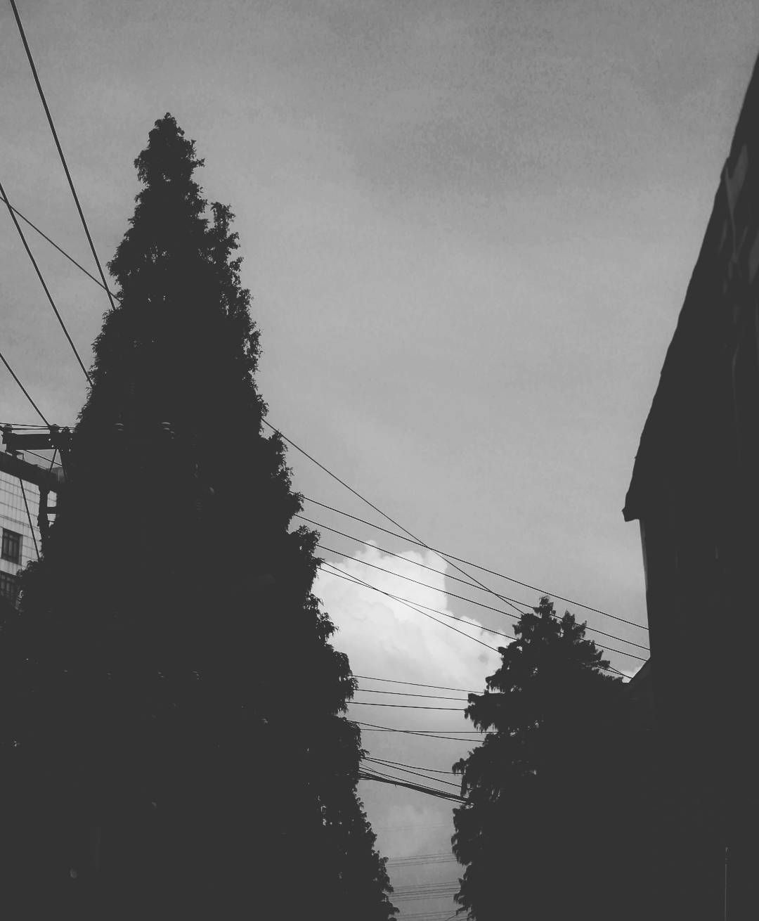 p-2016-09-16-08-26-22-000-1-BgcOdx9i